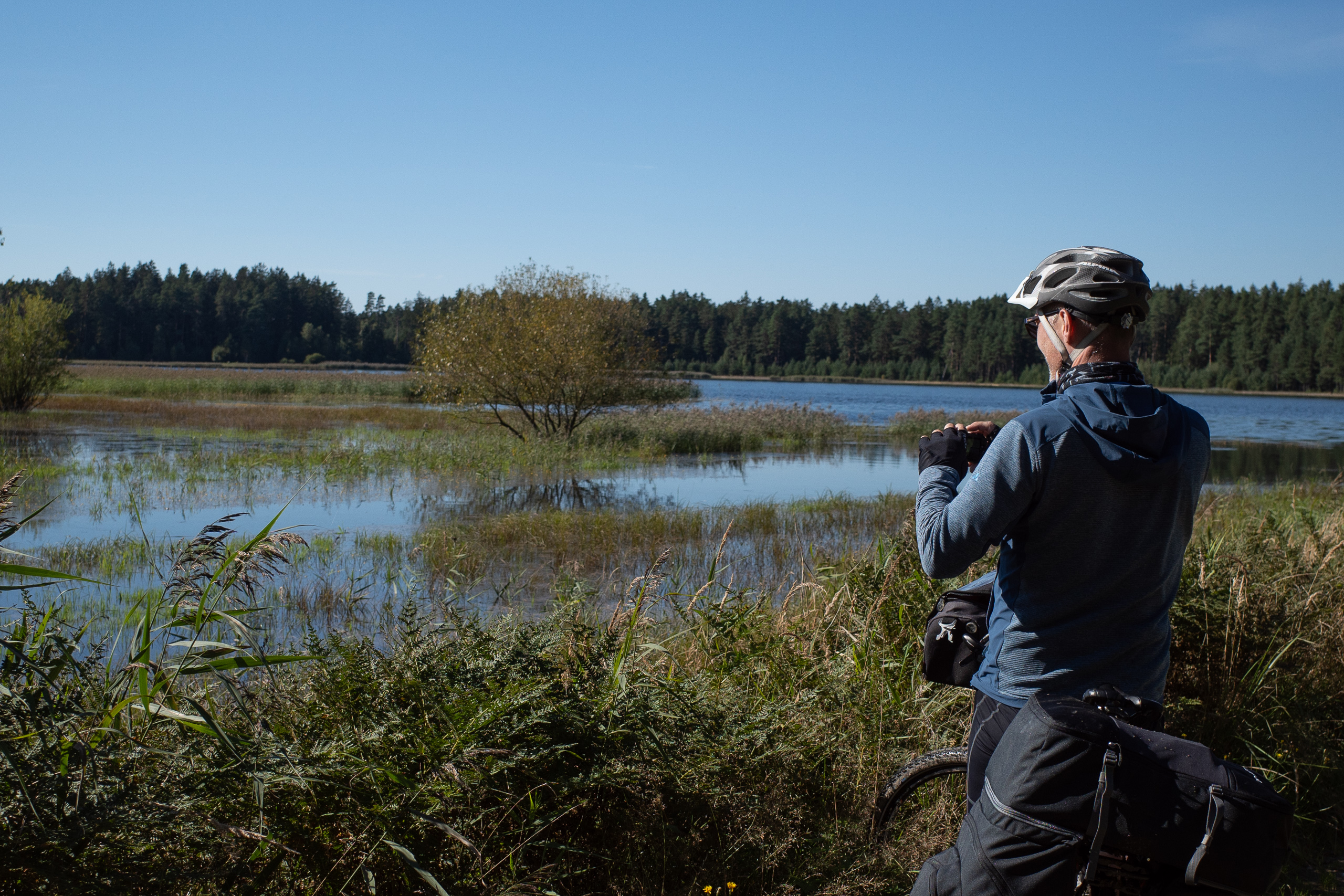 Fotostopp am Teich – Schilf, stilles Wasser und Kiefernwald